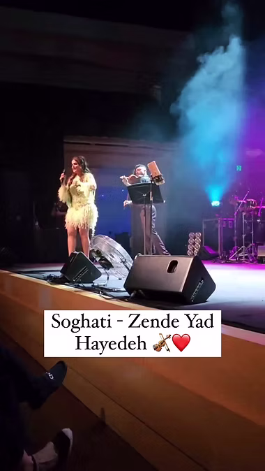Event violin performance