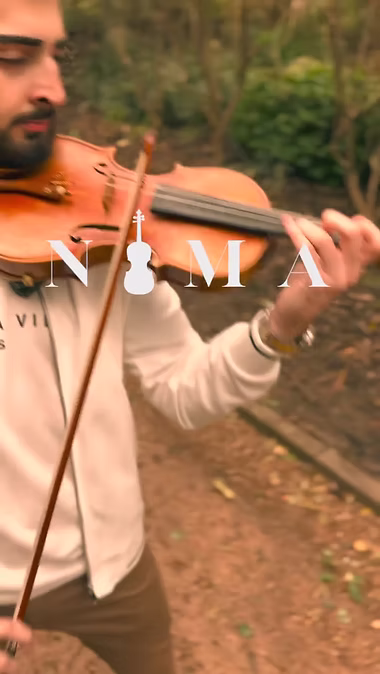 Cinematic violin portrait